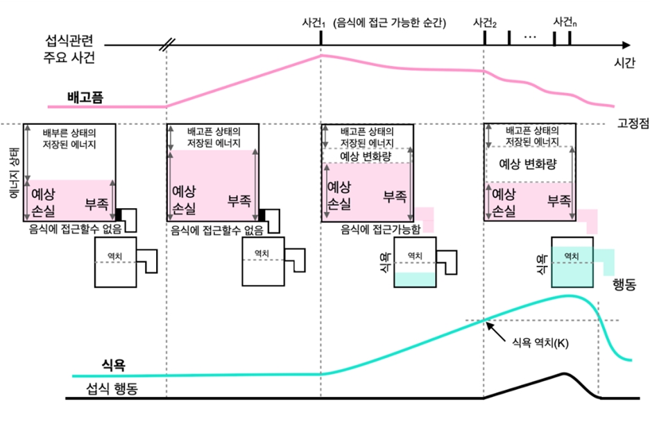 ▲ 전통적인 항상성 이론과 최신 뇌과학 발견들을 융합한 최신 이론