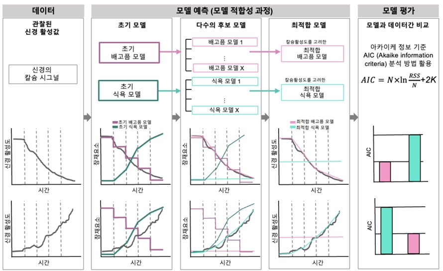 ▲ 인공지능을 활용한 모델링 과정