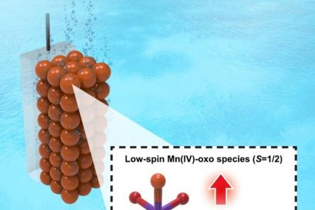 수소 시대 앞당길 광합성 원리 모방한 망간 물 산화 촉매 개발