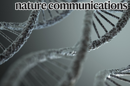 마이크로RNA 타겟팅에 지대한 영향을 주는 RNA-결합 단백질들의 새로운 기능 발견