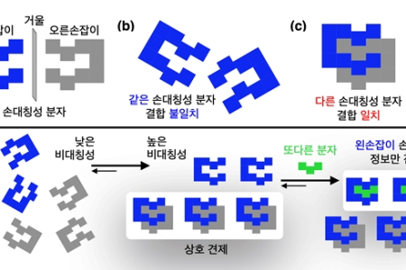 생명의 비대칭성, 클립 모양 분자로 그 기원을 설명하다