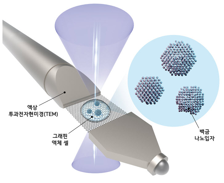 ▲참고자료1_연구진은 백금 (Pt) 나노입자를 자체 개발한 그래핀 액체 셀에 담은 뒤, 액상 투과전자현미경으로 촬영하고 이미지 빅데이터 처리 알고리즘을 이용하여 개별 나노입자의 3차원 증명사진을 얻었다.