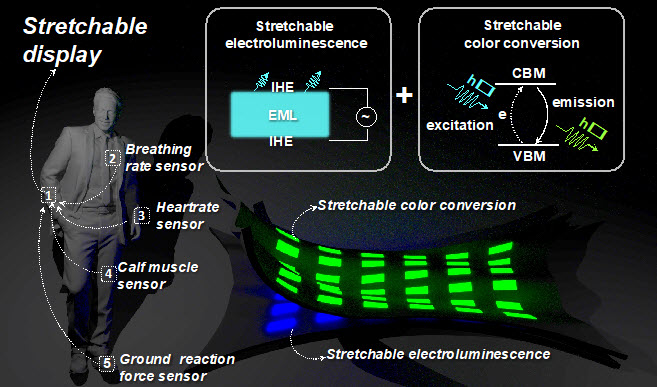 ▲ (좌)웨어러블 센서의 신호를 시각화하기 위한 스트레쳐블 디스플레이의 개념적 적용 3D 도식. 스트레쳐블 발광 소자와 통합된 스트레쳐블 색변환 층을 사용하는 스트레쳐블 디스플레이의 3D 도식.