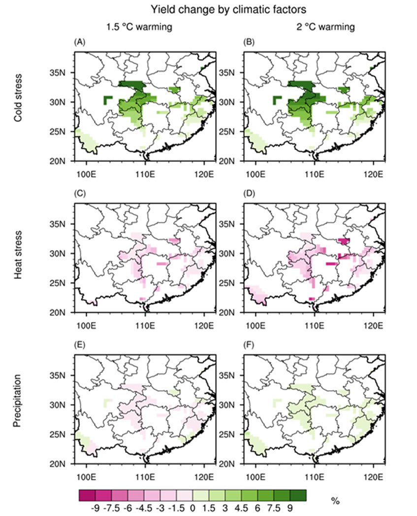 그림 2. 1.5도 2도 지구 온난화 시나리오와 현재 기후의 비교를 통한 저온 스트레스 (A, B), 고온 스트레스 (C, D), 강수량 (E, F)에 따른 차 생산량의 변화를 공간적으로 나타냄.