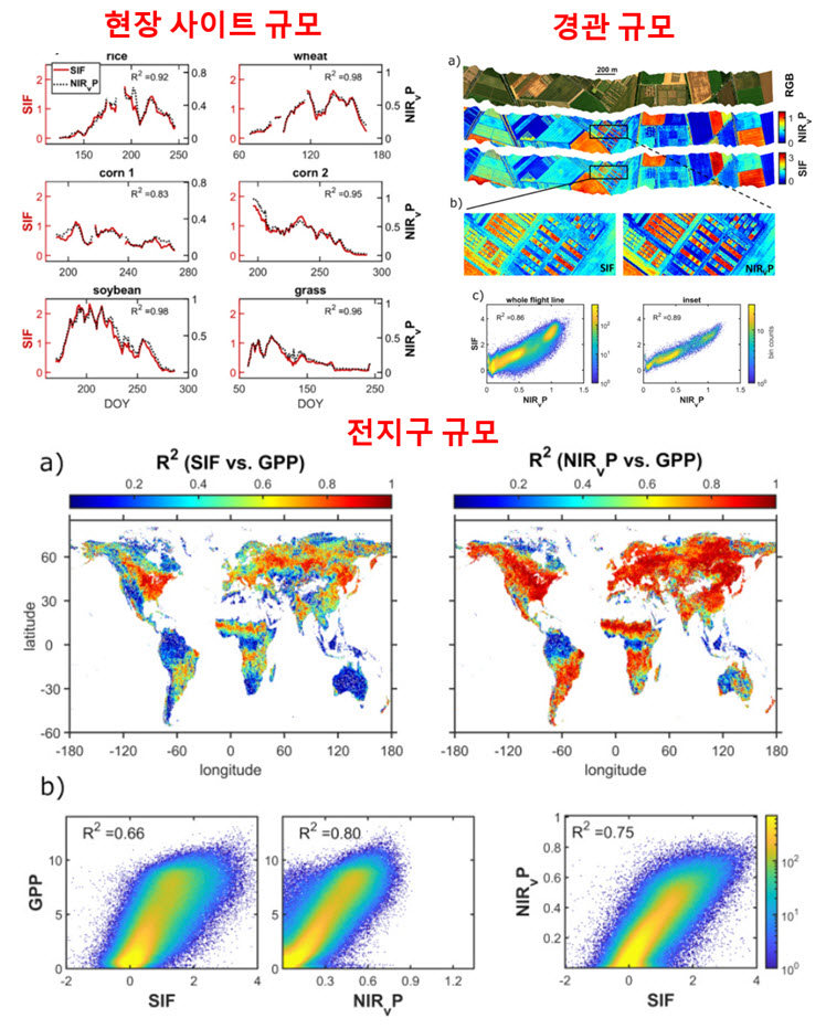 그림 1. NIRvP와 SIF, 광합성을 다중 규모에서 평가한 결과. NIRvP는 SIF의 시공간 변이를 대부분 설명함. 또한 NIRvP는 광합성의 시공간 변이를 SIF보다 더 잘 예측함.