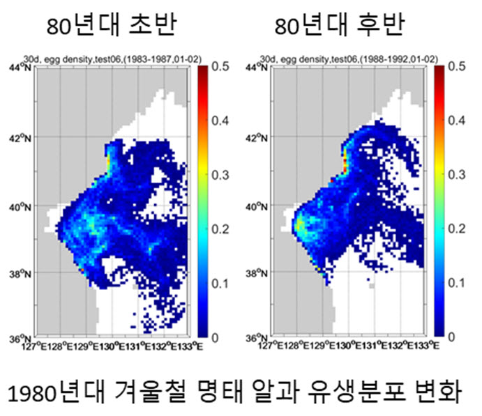 그림5. 1980년대 명태 알과 유생 분포 변화