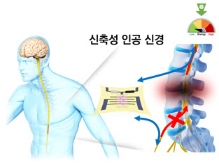 본 연구의 기대 성과 개념도