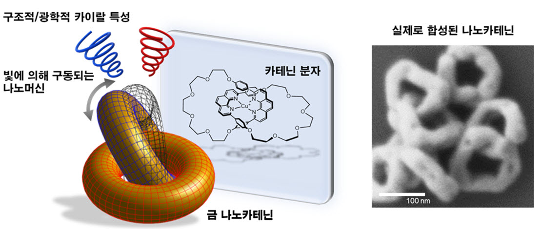 △카테닌 분자에서 영감을 받아 합성한 두 개의 금 나노고리가 서로 기계적으로 엮여있는 금 나노카테닌