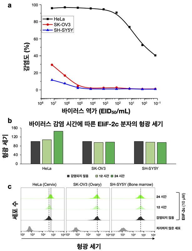 그림 4. 단일 세포 수준의 형광성을 이용한 조류인플루엔자 초기 감염의 정량적 분석