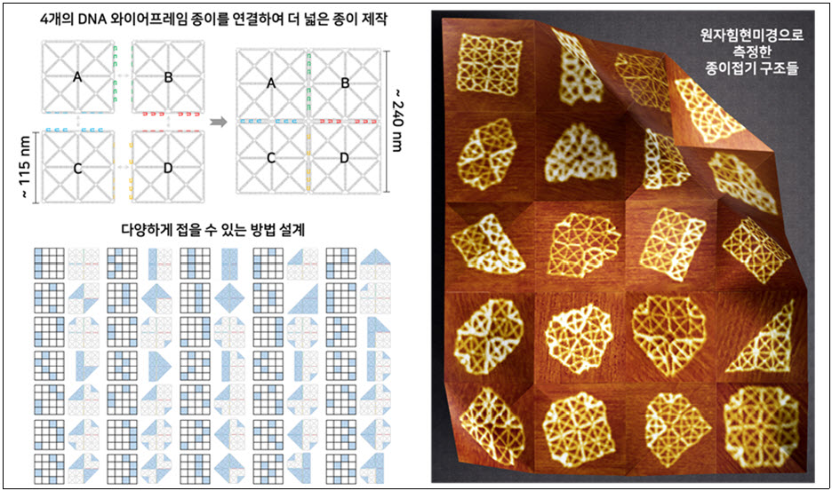 (그림 3) 계층 조립된 더 큰 디엔에이(DNA) 와이어프레임 종이를 이용한 다양한 접힘 예시