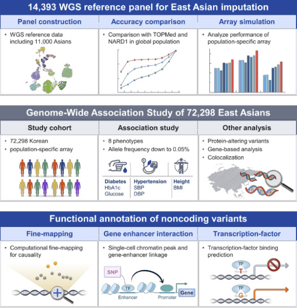NARD2 레퍼런스 패널 및 GWAS 연구 개요