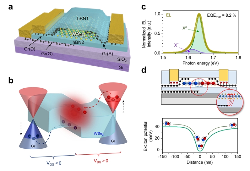 a- 2차원 물질 기반 발광 트랜지스터 구조 모식도, b- 해당 소자의 전계발광 동작 시 밴드 구조 모식도, c- 해당 소자의 전계 발광 및 광 발광 데이터, d- 중성 엑시톤의 전기적 구속에 대한 소자 그림 및 엑시톤 퍼텐셜 에너지 계산 데이터