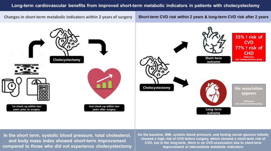 담낭절제술 후 단기적으로 신체 대사 지표의 향상이 일어나고 장기적인 심뇌혈관질환과의 연관성이 낮아질 수 있다.