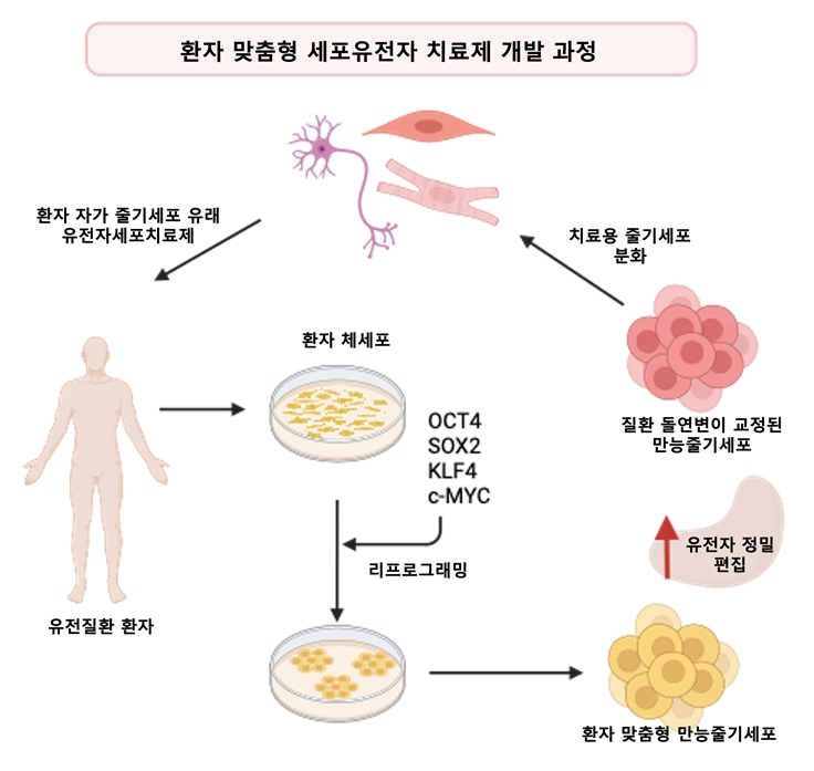 환자 맞춤형 세포유전자 치료제 개발 과정