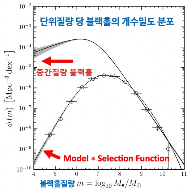 그림 2. 블랙홀의 질량함수. 이번 연구결과는 현재 우주에서 중간질량 블랙홀 종족이 꽤 높은 개수밀도로 존재하는 것으로 측정되었으며 이 결과는 초기우주 블랙홀의 생성 시, 무거운 씨앗 (중간질량 블랙홀)이 필요함을 드러낸다.