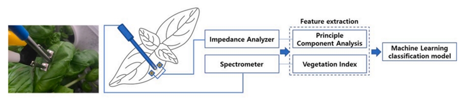 (위) VIS/NIR 및 생체임피던스 분광법을 동시에 측정하고, 머신러닝 학습을 위한 특징 추출 방법으로 생체임피던스 분광법은 주성분 분석을, VIS/NIR 분광법은 식생지수를 활용하였다.
