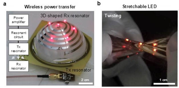 ▲ 그림 2 : (a) 무선 전력 통신을 구현한 모습 (b) 신축성 발광 소자를 구현한 모습