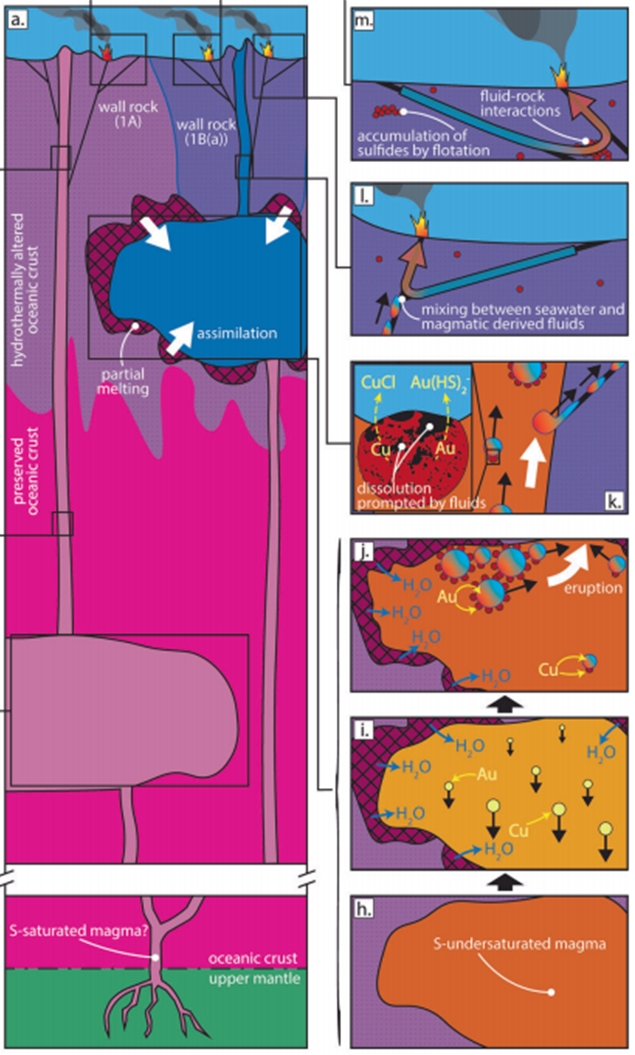 그림 2. 파투카파 마그마의 진화와 해저 열수 광상 형성 기작에 대한 모식도. a. 상부지각 약 2 km 깊이에 관입한 마그마가 지각의 물질을 녹이며 진화함. i. 마그마가 황화물로 포화되며 액상 황화물 형성. 동시에 지각에서 물이 공급. j. 마그마의 유체 포화로 인하여 황화물-기상 화합물 형성. 형성된 화합물은 마그마방 상부로 상승. k. 상승하는 과정에서 일부 황화물의 용해 및 열수 광상에 공급. m. 화합물이 지각에서 열수에 의애 용해되고 동과 금을 광상에 공급