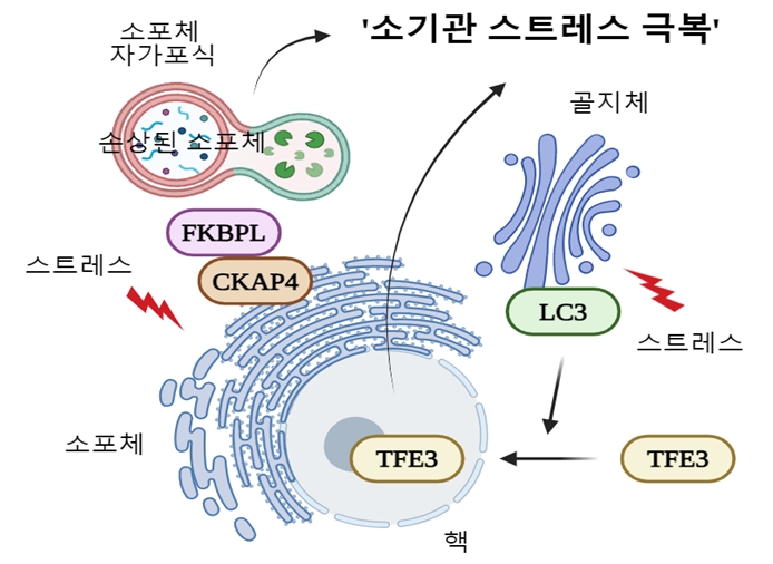 아래의 설명 참고