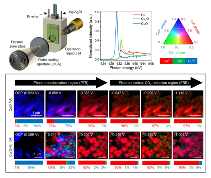 [그림 2] 연X선 분광-현미경법 모식도 및 반응 전위에 따른 산화구리 및 수산화구리의 화학조성 이미징 결과 (산화구리(II) 촉매에서는 구리 2가가 한번에 구리 금속으로 환원된 후 ‘2가 이온 구리상’이 이산화탄소 환원반응 조건에 나타나지 않는 반면, 수산화구리 촉매에서는 환원 과정 중에 구리 1가 양이온을 거친 이후에 환원 되고 이산화탄소 환원 반응 조건에서 ‘2가 이온 구리상’이 나타남을 확인하였다.)