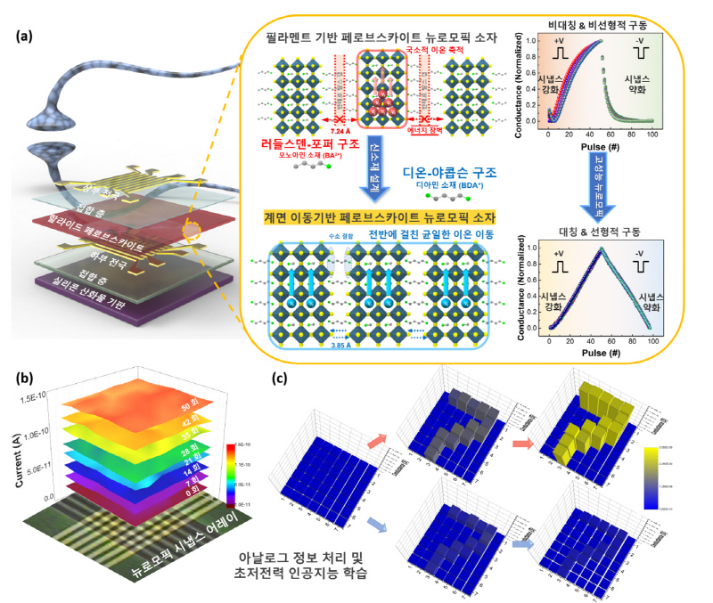 ▲ (a) 인공지능 가속용 차세대 지능형 반도체 소재 및 소자 설계 개념도, (b) 제작된 뉴로모픽 시냅스 어레이에서 구현된 초저전력 아날로그 다중저항 상태, (c) 어레이 수준에서 구현한 아날로그 정보 처리 및 숫자 이미지 인공지능 학습