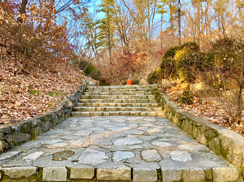 학교 안에서 숲길을 걸어요 - 인문대-음대 산책길