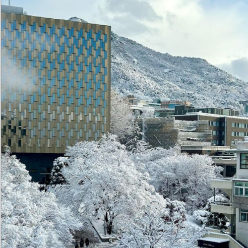 SNU, blanketed by the first snow