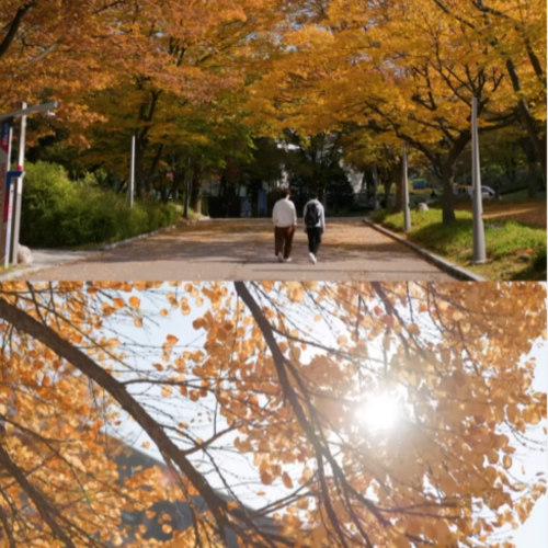 A pause to feel fall on campus